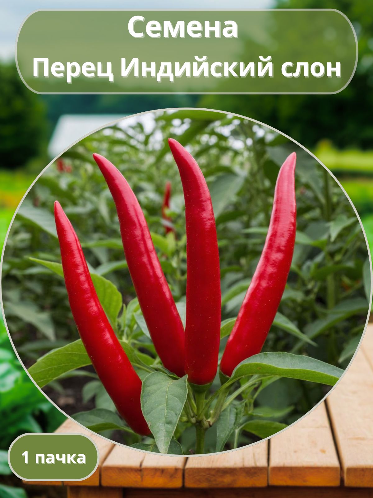Семена Перец острый Индийский слон