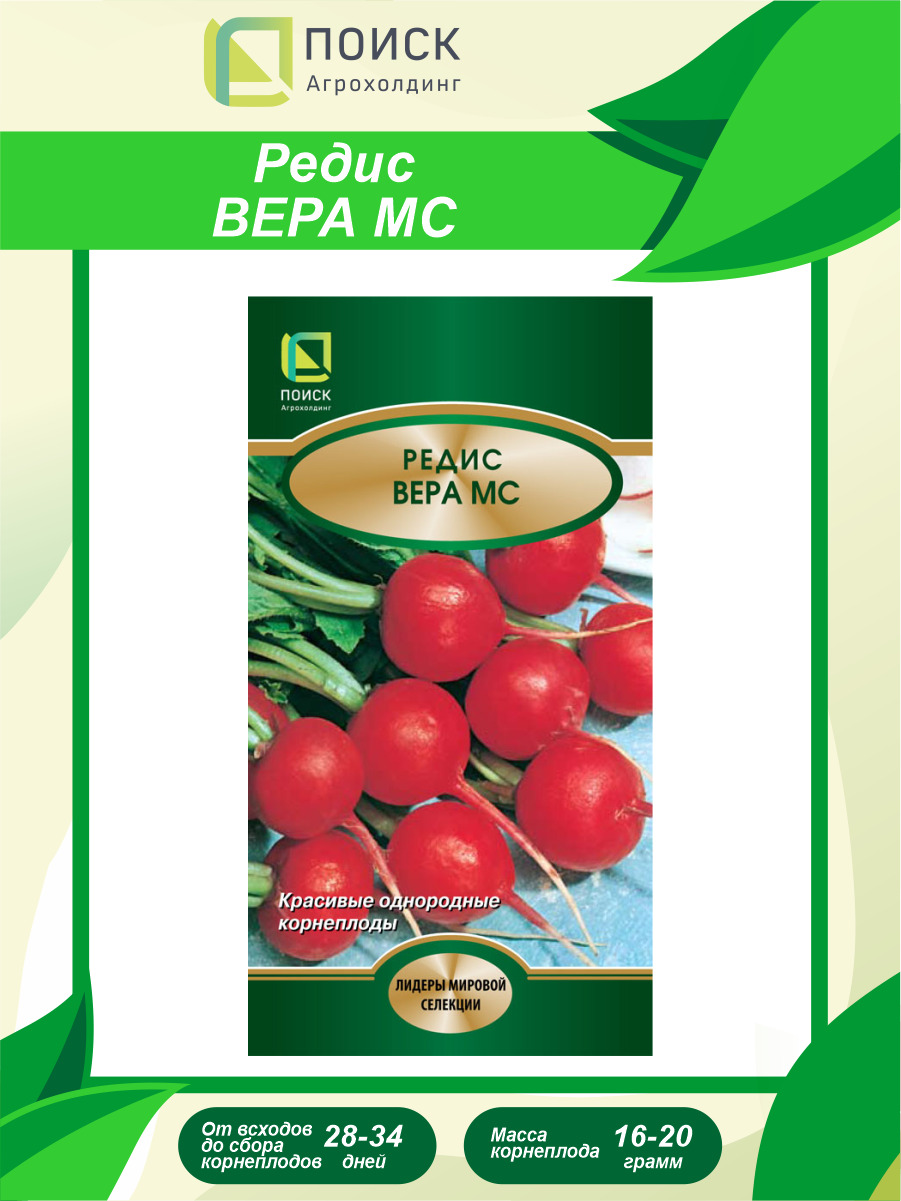 Семена Редис Вера МС
