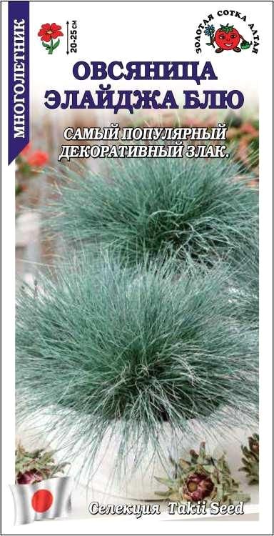 Овсяница сизая Элайджа Блю