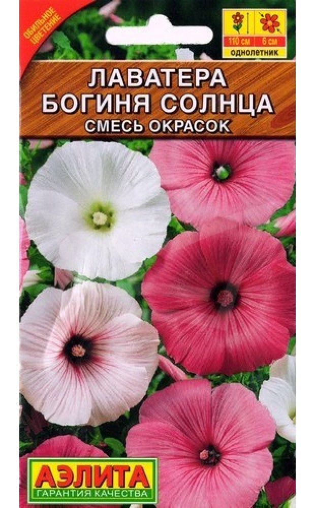 Лаватера Богиня солнца смесь окрасок