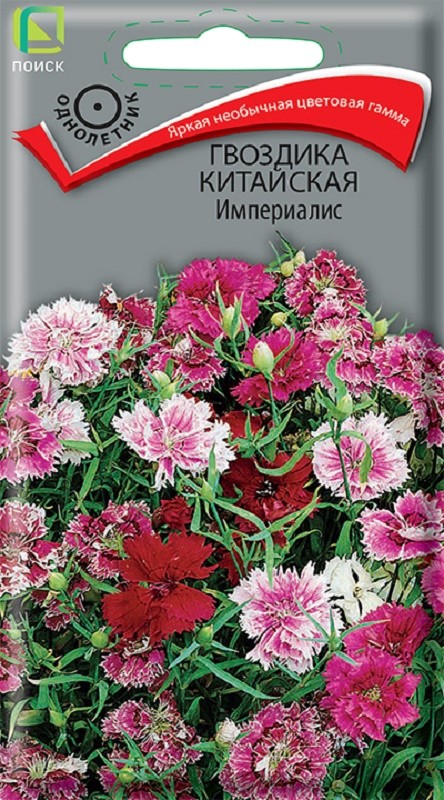 Семена Гвоздика Китайская Империалис