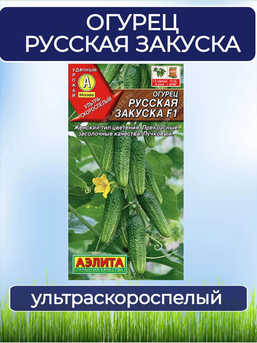 Семена Огурец Русская закуска F1